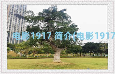 电影1917 简介(电影1917简介解说)